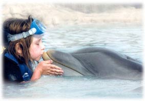 Lauren and Dolphin